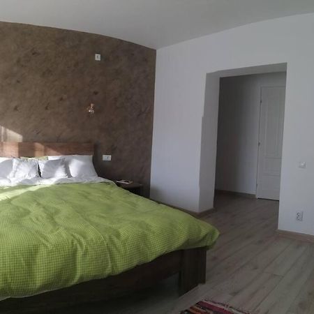 Willa Casa Cu Trandafiri Baia Mare Zewnętrze zdjęcie