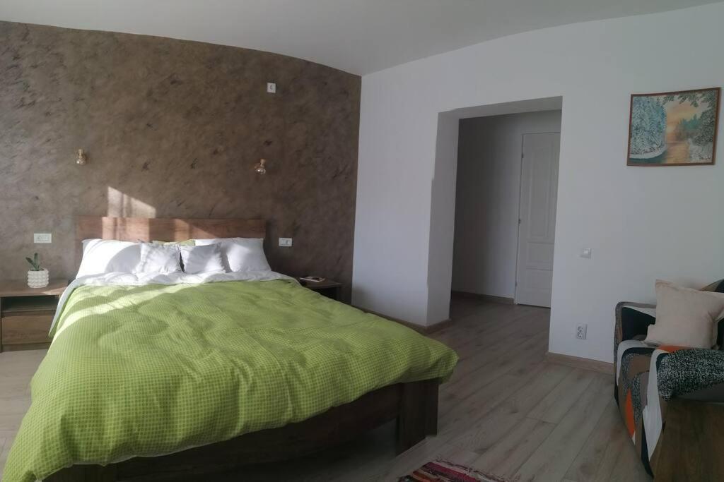 Willa Casa Cu Trandafiri Baia Mare Zewnętrze zdjęcie