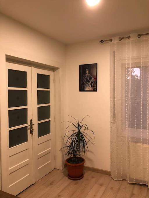 Willa Casa Cu Trandafiri Baia Mare Zewnętrze zdjęcie