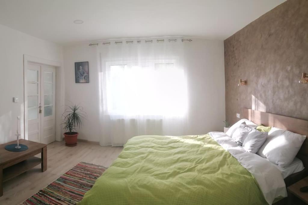 Willa Casa Cu Trandafiri Baia Mare Zewnętrze zdjęcie