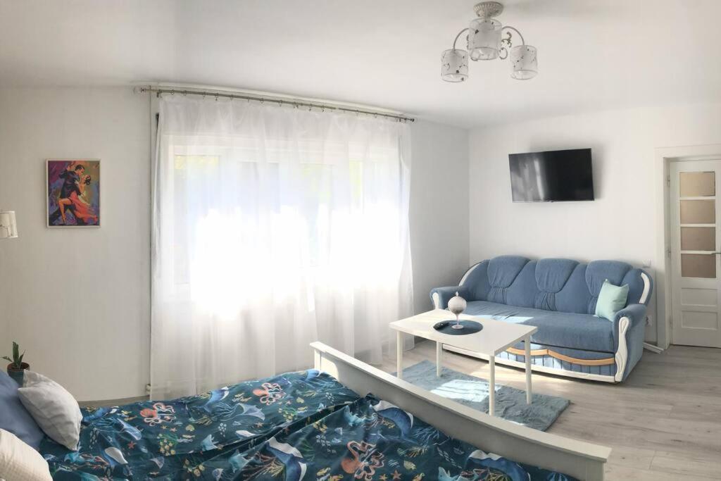 Willa Casa Cu Trandafiri Baia Mare Zewnętrze zdjęcie