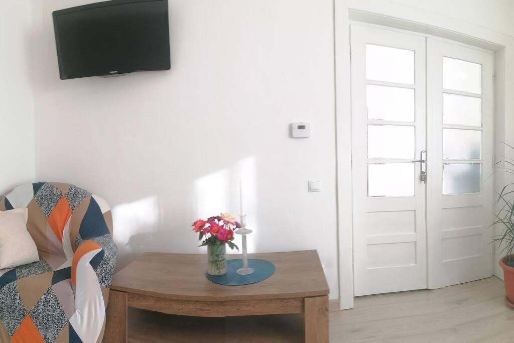 Willa Casa Cu Trandafiri Baia Mare Zewnętrze zdjęcie