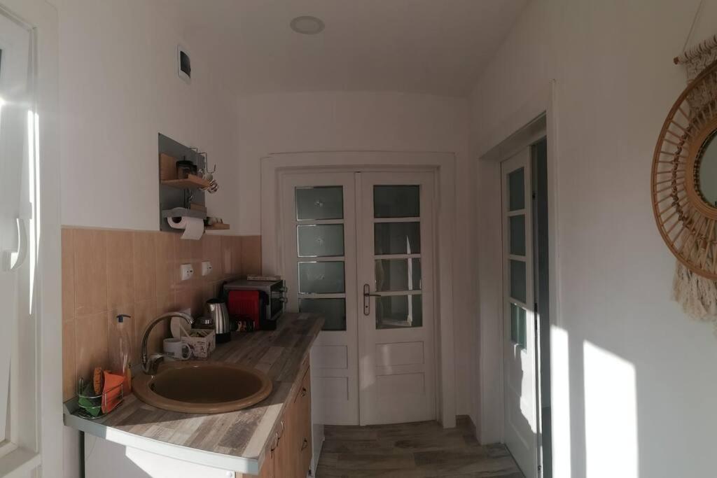 Willa Casa Cu Trandafiri Baia Mare Zewnętrze zdjęcie